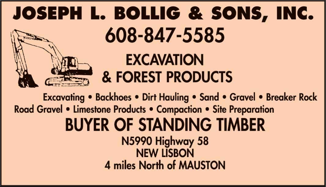 Joseph L. Bollig and Sons, Inc.