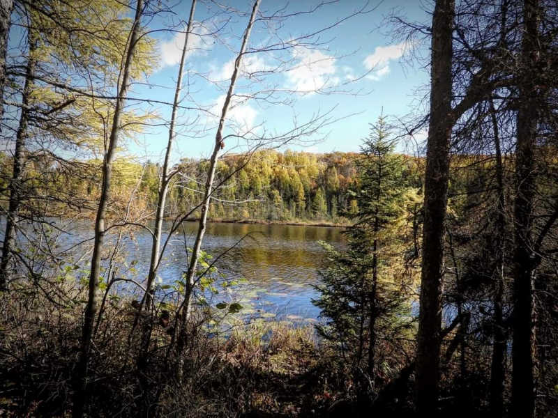 Castle Rock Petenwell Lakes View